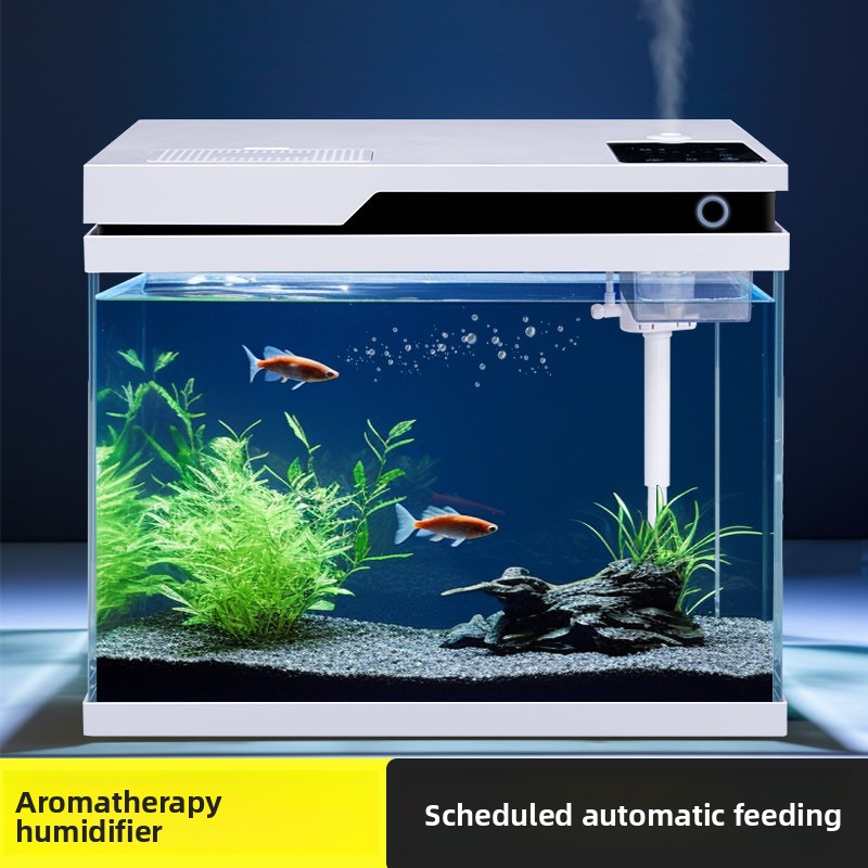 All Fish In Aquarium - -clear Glass Fish Tank Smart Automatic