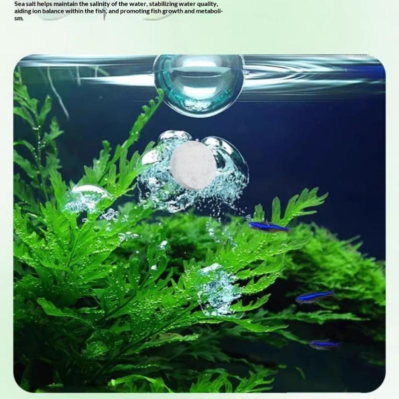 Aquarium Fish Green - Aquarium Algae Cleaner Tablets No Water