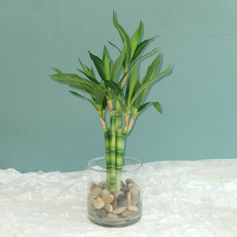 New 40cm Artificial Lucky Bamb - огляд і ціна Aquarium Fish Bowl