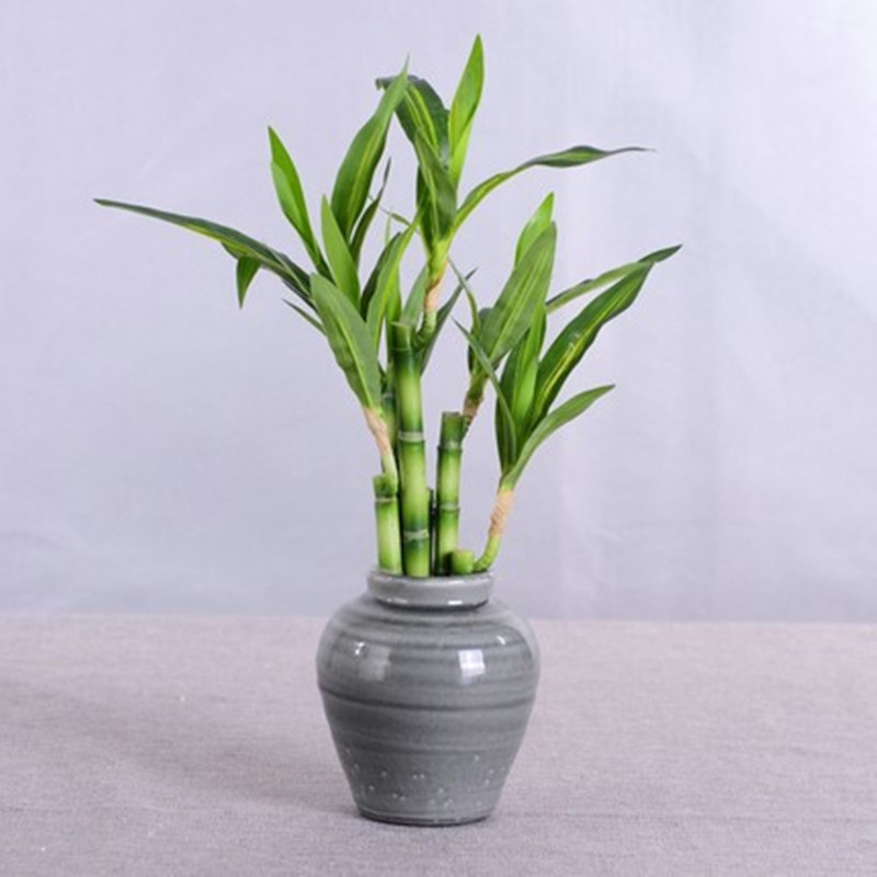 New 40cm Artificial Lucky Bamb - огляд і ціна Aquarium Fish Bowl