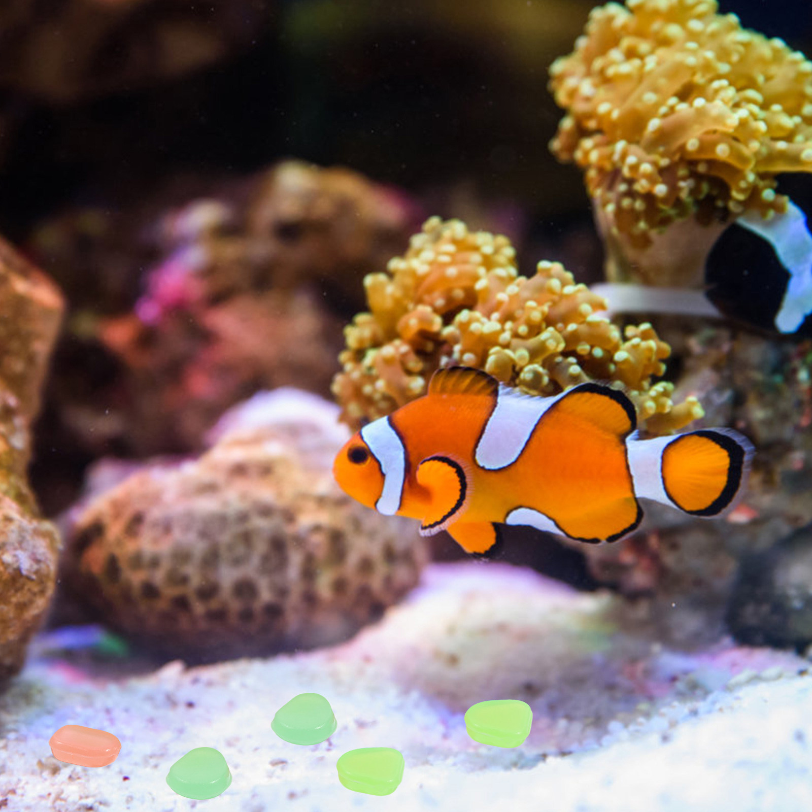 400Pcs Glowing Night Pebbles A - огляд і ціна Aquarium Fish That Glow In The Dark