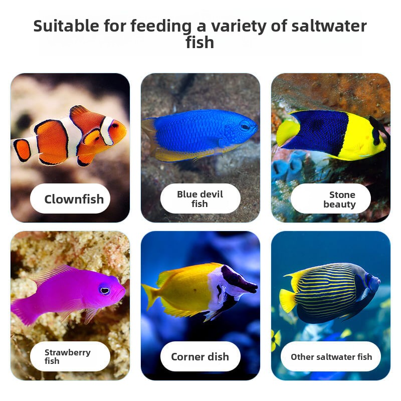 DEERA Clownfish & Tang Food |  - огляд і ціна All Fish In Aquarium