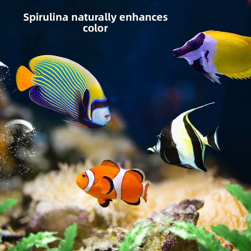 DEERA Clownfish & Tang Food |  - огляд і ціна All Fish In Aquarium