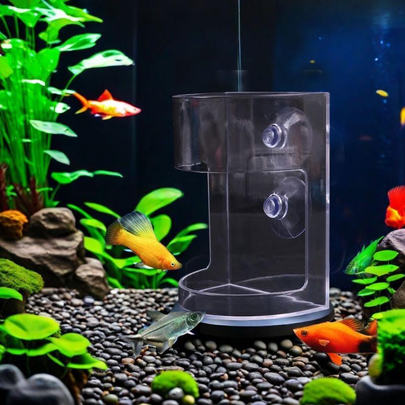 Popular 1/3/5Pcs Floating Food - огляд і ціна Aquarium Fish Popular
