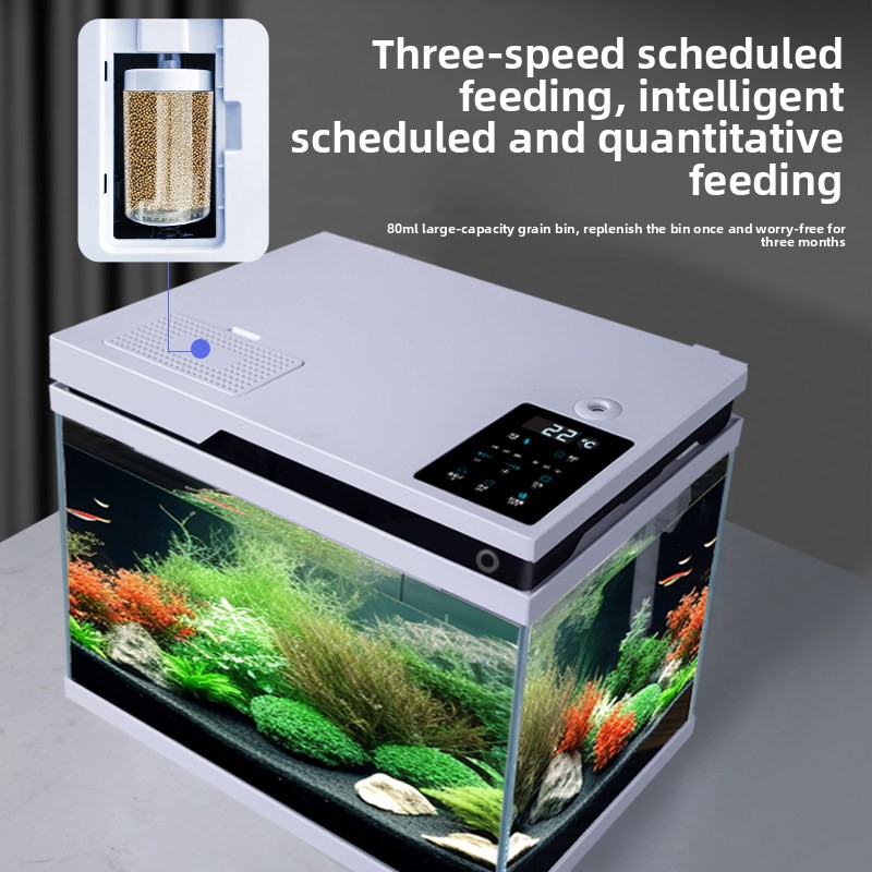 -clear Glass Fish Tank Smart A - огляд і ціна All Fish In Aquarium