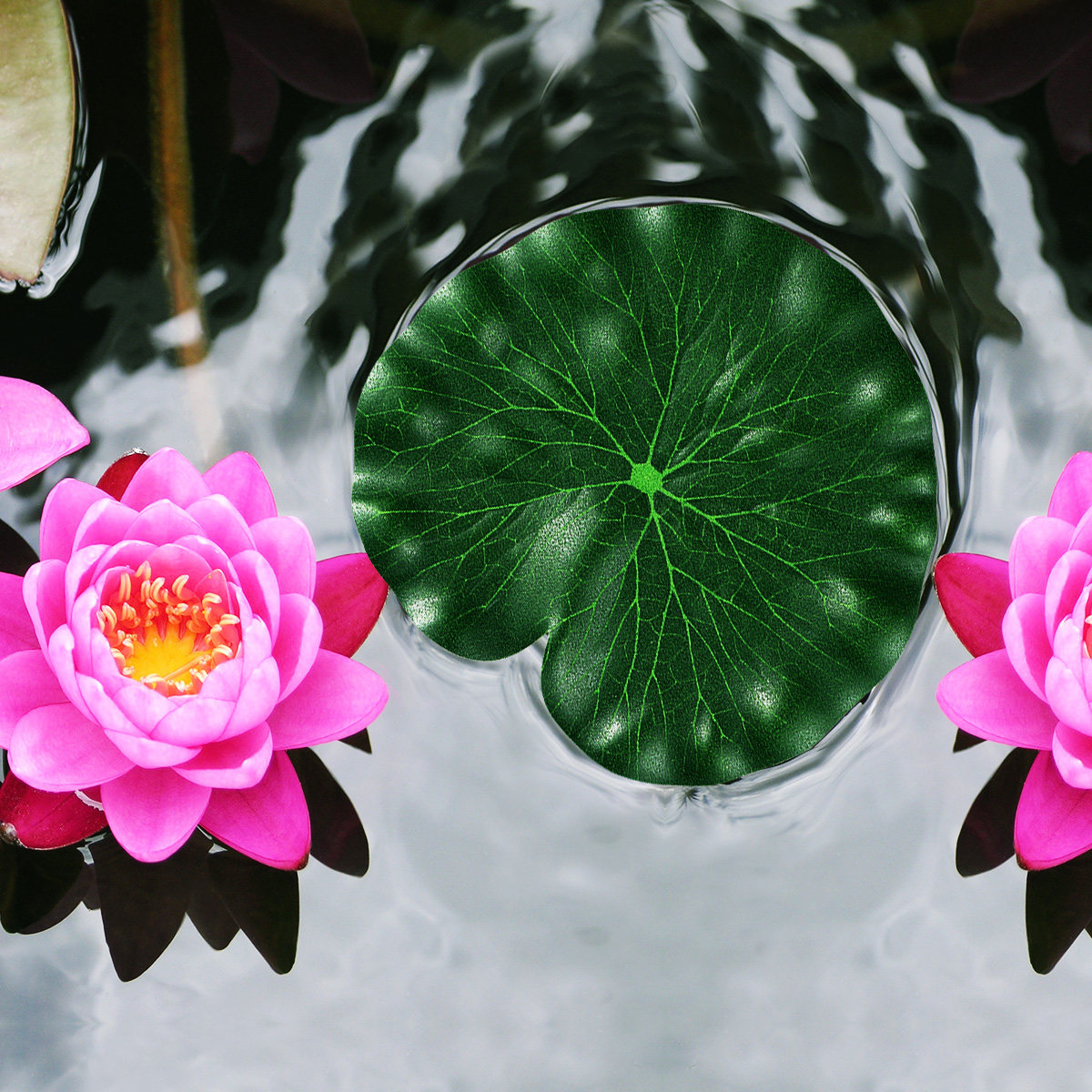 10Pcs Green Eva Lotus Leaves 1 - огляд і ціна Aquarium Fish Green