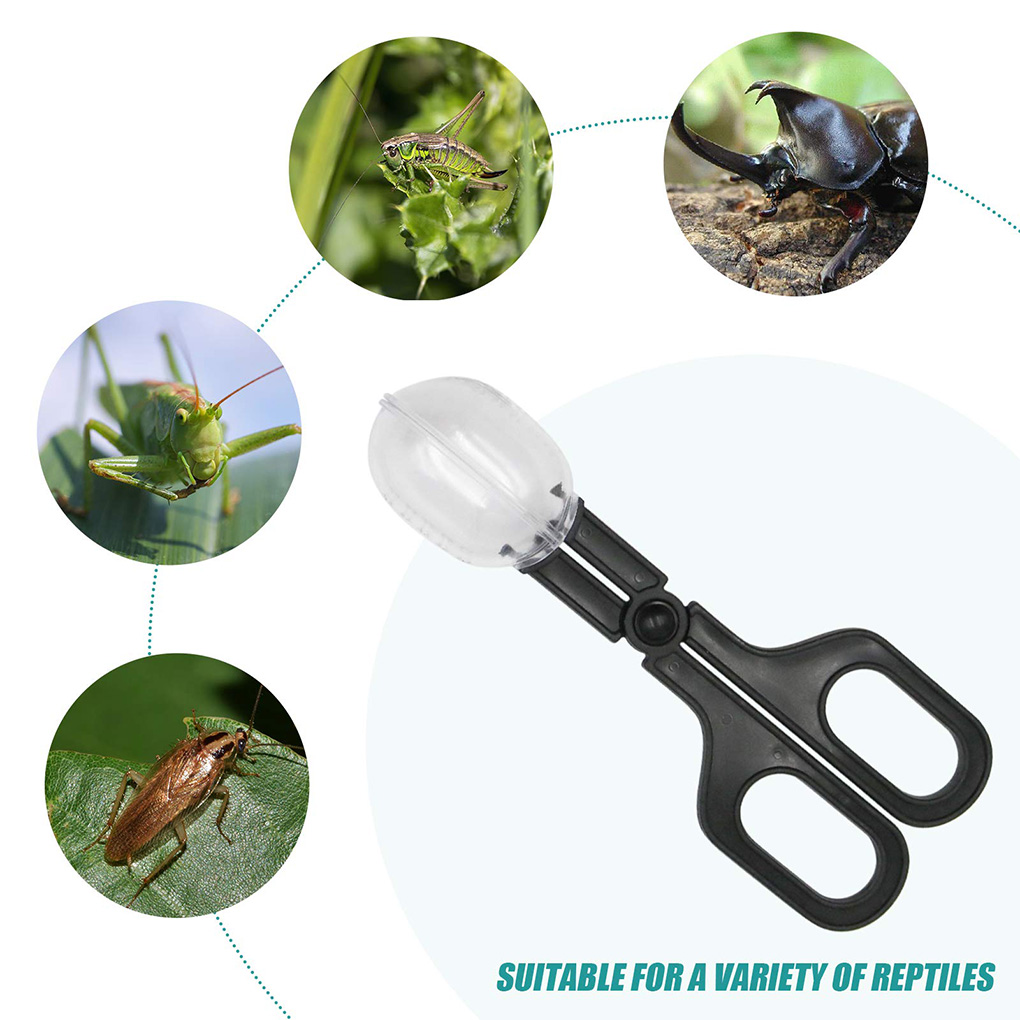 Portable Transparent Insect Ca - огляд і ціна Aquarium Fish Bowl