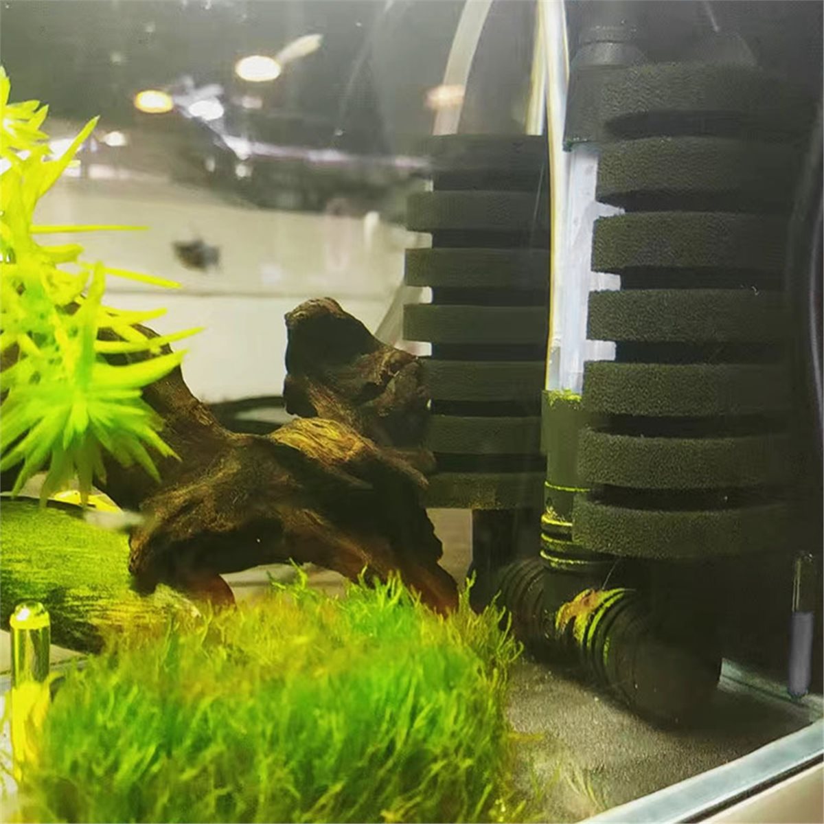 【MUST-HAVE LIST】 Aquarium Filt - огляд і ціна Aquarium Fish List
