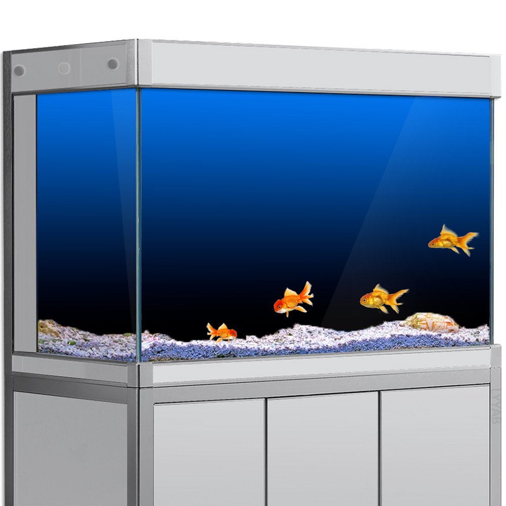 Fish Tank Background Sticker B - огляд і ціна Aquarium Fish Green