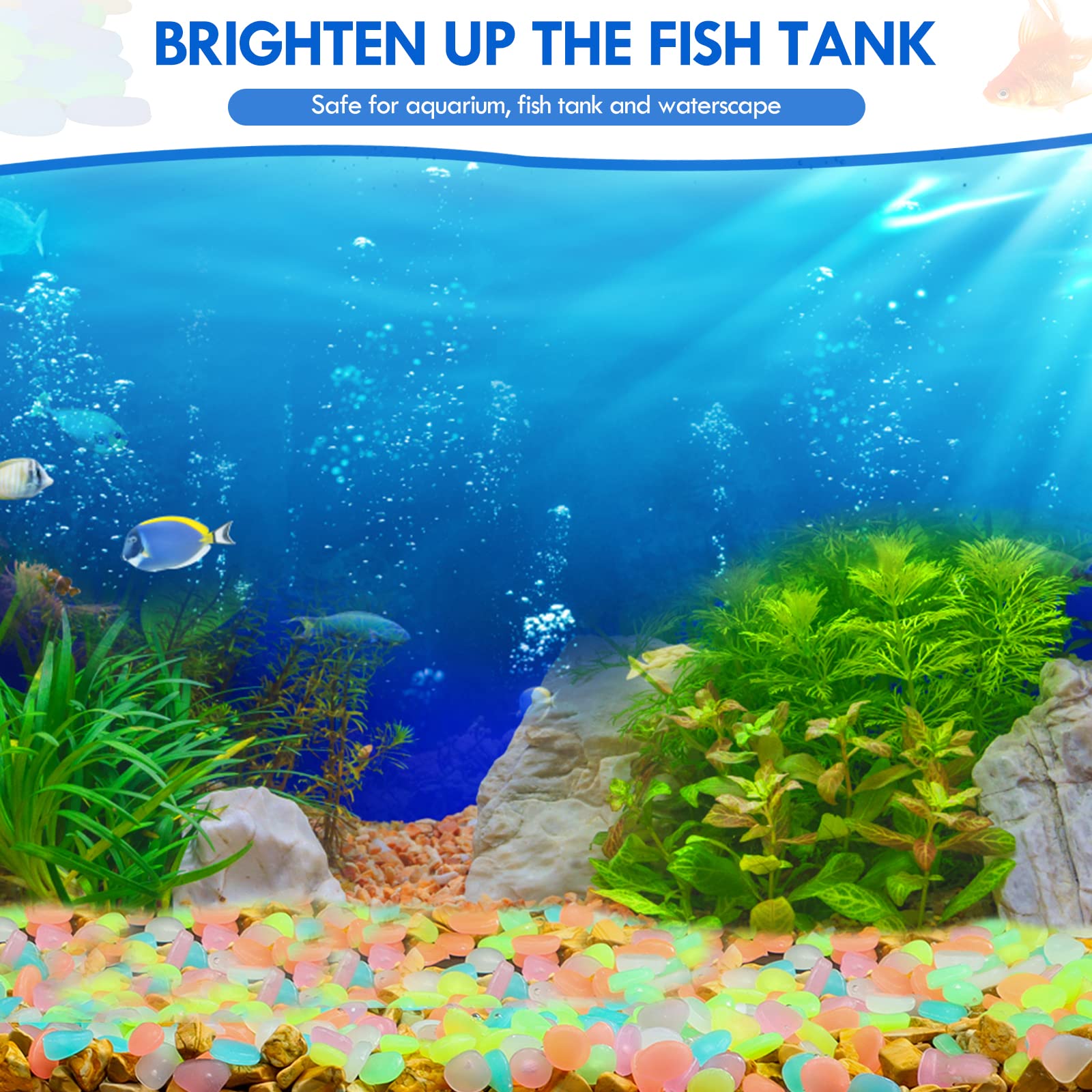100Pcs Glow in the Dark Garden - огляд і ціна Aquarium Fish That Glow In The Dark