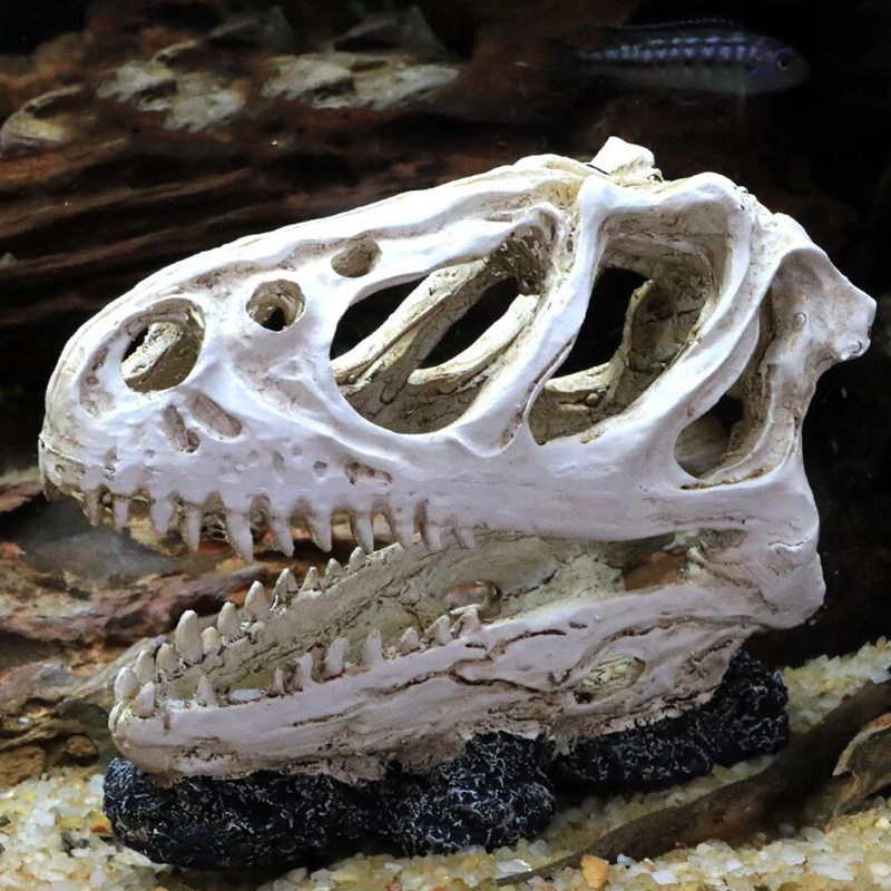 Aquarium Fish Tank Dinosaur He - огляд і ціна Aquarium Fish Popular