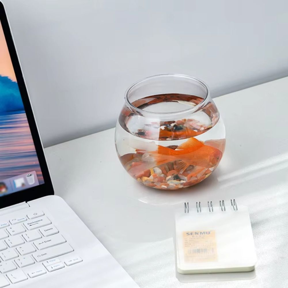 New Transparent Fish Tank Roun - огляд і ціна Aquarium Goldfish