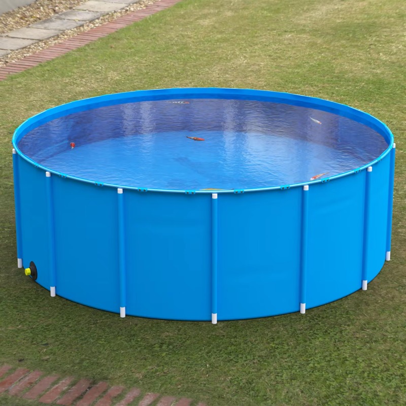 Wholesale Custom Outdoor Large - огляд і ціна Aquarium Fish Popular