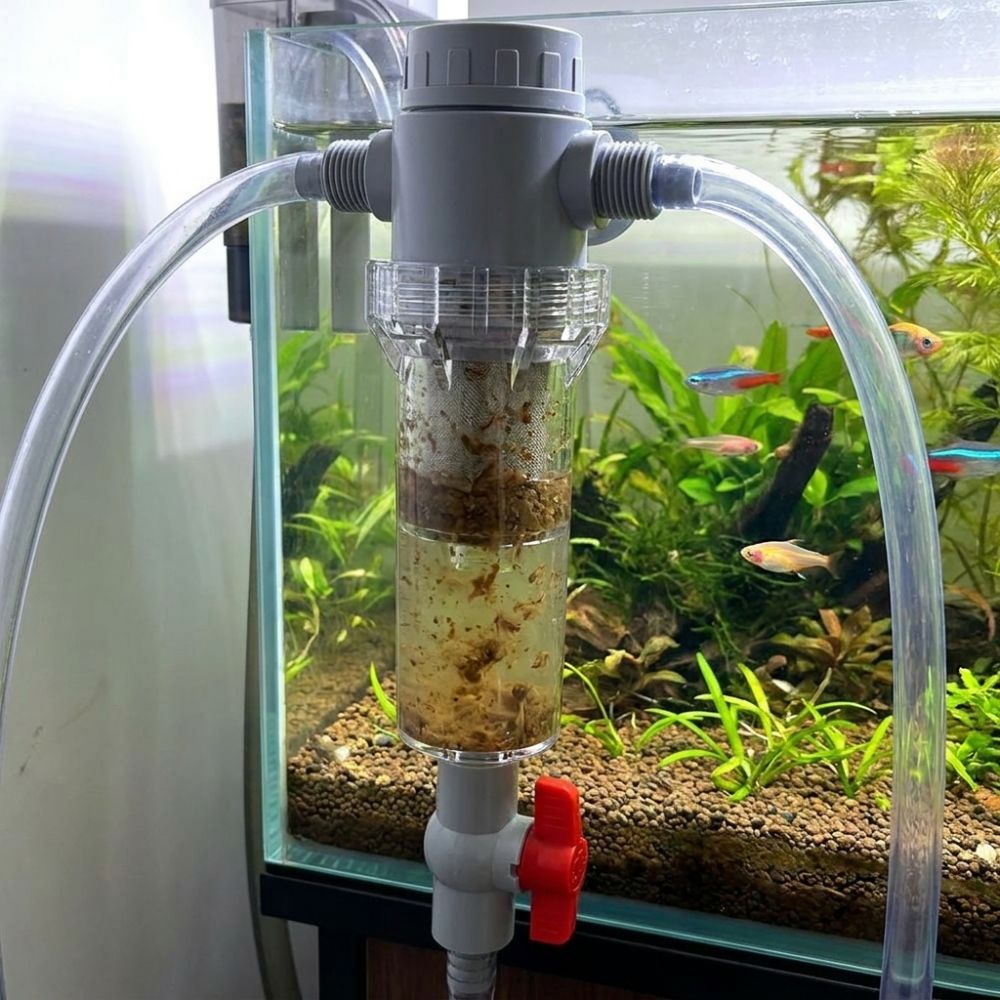 1/2 Thread Aquarium Feces Sepa - огляд і ціна Aquarium Fish Rate