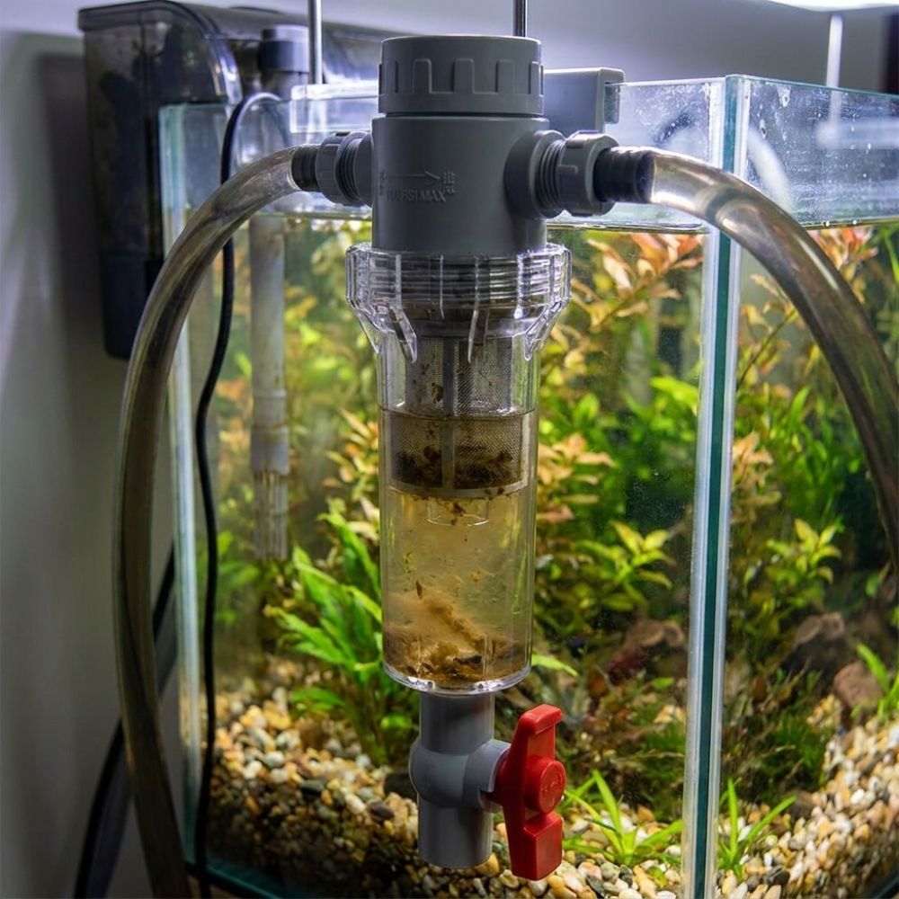 1/2 Thread Aquarium Feces Sepa - огляд і ціна Aquarium Fish Rate